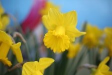 [5D M3+ 50 1.8 STM] 인천 동화마을 .. - 캐논 Talk [5D M3+ 50 1.8 STM] 인천 동화마을 ..