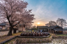 [EOS R, A7R4] 대흥동헌 일출, 수덕사, 예당 저수지 - 캐논 Talk [EOS R, A7R4] 대흥동헌 일출, 수덕사, 예당 저수지