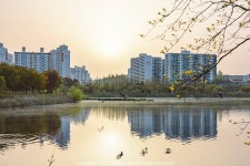 [EOS R5 + RF100-500] 서호공원 일출, 여기산 중대백노와 왜가리 - 캐논 Talk [EOS R5 + RF100-500] 서호공원 일출, 여기산 중대백노와 왜가리