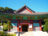 카시오는 외롭지 않다 - 김유정 문학촌- - 기타 카시오는 외롭지 않다 - 김유정 문학촌-