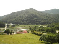 기타 - 기타 기타