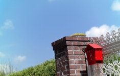 [BF]늘 처음처럼. - 후지필름 Talk [BF]늘 처음처럼.