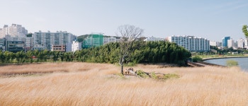 [X-T1] 울산 십리대밭 ㅎㄷㄷㄷㄷㄷㄷ(10장) - 후지필름 Talk [X-T1] 울산 십리대밭 ㅎㄷㄷㄷㄷㄷㄷ(10장)