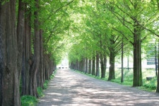 제주에서 담양까지, [10pic] - 후지필름 Talk 제주에서 담양까지, [10pic]