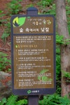 서대문 안산에는.. - 후지필름 Talk 서대문 안산에는..