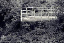 [X-Pro1] 금정경륜장과 회동수원지 - 후지필름 Talk [X-Pro1] 금정경륜장과 회동수원지