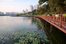 [ X-A1 + 삼양 12mm + 삼양 300mm 반사 ] 광교호수공원 - 후지필름 Talk [ X-A1 + 삼양 12mm + 삼양 300mm 반사 ] 광교호수공원