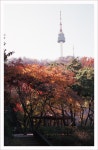 (후지필름 ASA 200 ) 남산둘레 길 - 후지필름 Talk (후지필름  ASA 200 )  남산둘레 길