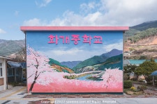 [GFX50S2+GF3264] 하동 화계장터 아직 못다 핀 벚꽃 - 후지필름 Talk [GFX50S2+GF3264] 하동 화계장터 아직 못다 핀 벚꽃