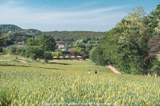 카페피어라) - 후지필름 Talk [GFX50S2 + GF32-64] 당진당일치기여행... (삽교호 놀이동산 야경, 아미미술관, ﻿카페피어라)