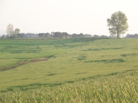 [Z812IS] 4월 28일자 안성목장 사진 - 코닥 Talk [Z812IS] 4월 28일자 안성목장 사진