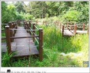 [Z1012] 관악산 산림욕장... 습지원 - 코닥 Talk [Z1012] 관악산 산림욕장... 습지원