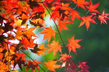 [14n] 스냅 - 코닥 Talk [14n] 스냅