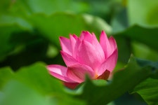 [14n] 관곡지 - 코닥 Talk [14n] 관곡지