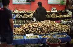 소래포구 재래어시장 - 팝코넷 | 팝게&톡 이슈게시판 소래포구 재래어시장