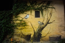 [14n] 마비정 벽화마을 #1 - 코닥 Talk [14n] 마비정 벽화마을 #1