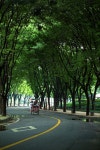 [14n] 스냅 - 코닥 Talk [14n] 스냅