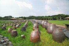 [14NX] 제주 돌문화공원 - 코닥 Talk [14NX]  제주 돌문화공원