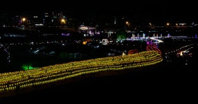 [Q] 공주 석장리 박물관 코스모스, 백제문화제, 독립기념관 - 라이카 Talk [Q] 공주 석장리 박물관 코스모스, 백제문화제, 독립기념관