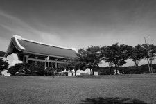 [Q] 공주 석장리 박물관 코스모스, 백제문화제, 독립기념관 - 라이카 Talk [Q] 공주 석장리 박물관 코스모스, 백제문화제, 독립기념관