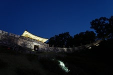 [Q] 공주 석장리 박물관 코스모스, 백제문화제, 독립기념관 - 라이카 Talk [Q] 공주 석장리 박물관 코스모스, 백제문화제, 독립기념관