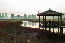 [M9] 소래 생태공원 - 라이카 Talk [M9] 소래 생태공원