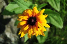 [d300 + 18-55 II] 동네 한바퀴 - 니콘 Talk [d300 + 18-55 II] 동네 한바퀴