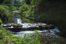 [d300 + 18-55 II] 동네 한바퀴 - 니콘 Talk [d300 + 18-55 II] 동네 한바퀴