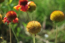 [d300 + 18-55 II] 동네 한바퀴 - 니콘 Talk [d300 + 18-55 II] 동네 한바퀴