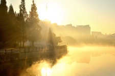흔한 동네공원의 아침 - 니콘 Talk 흔한 동네공원의 아침