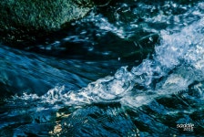 인덕원의 하루 - 니콘 Talk 인덕원의 하루