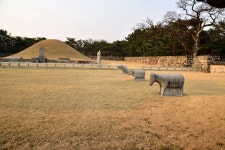 [D5500] 김해 수로왕릉앞에서 - 니콘 Talk [D5500] 김해 수로왕릉앞에서