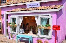 파주 프로방스 마을 - 니콘 Talk 파주 프로방스 마을