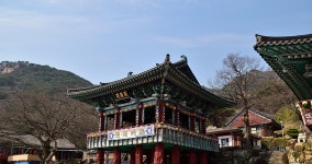 [D5500] 달마야 놀자~! 김해 신어산 은하사... - 니콘 Talk [D5500] 달마야 놀자~! 김해 신어산 은하사...