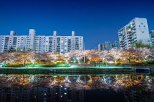 [Df] 지난 주말 부산 온천천 5 pics - 니콘 Talk [Df] 지난 주말 부산 온천천 5 pics