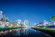 [Df] 지난 주말 부산 온천천 5 pics - 니콘 Talk [Df] 지난 주말 부산 온천천 5 pics