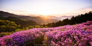 [D750+삼양14M,16-35N] 장수 봉화산~~~ 2 - 니콘 Talk [D750+삼양14M,16-35N] 장수 봉화산~~~  2