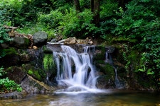 캠핑장 풍경 - 니콘 Talk 캠핑장 풍경