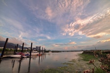 [D750] 낙동강변에서 - 니콘 Talk [D750] 낙동강변에서