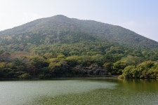 [D810+35N]진해 내수면생태공원 - 니콘 Talk [D810+35N]진해 내수면생태공원