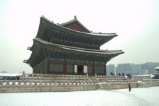 [D80+18-70] 경복궁 설경 - 니콘 Talk [D80+18-70] 경복궁 설경