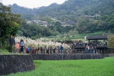 대만여행 08 - 남쪽마을 - 니콘 Talk 대만여행 08 - 남쪽마을