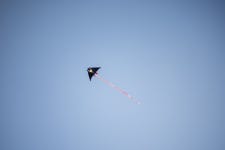 [D810+Twist60] 한강시민공원 :: 여의도 - 니콘 Talk [D810+Twist60] 한강시민공원 :: 여의도