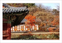 [D1X]만추의 공주 마곡사에서(2) - 니콘 Talk [D1X]만추의 공주 마곡사에서(2)
