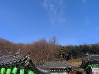 [C5060WZ] 의왕 청계사 - 올림푸스 Talk [C5060WZ] 의왕 청계사