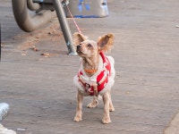 [P5] 신도림 가는 길 - 올림푸스 Talk [P5] 신도림 가는 길