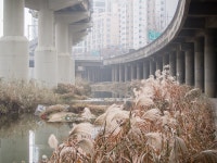 [P5] 신도림 가는 길 - 올림푸스 Talk [P5] 신도림 가는 길