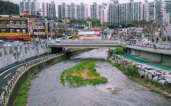 [P5] 보쌈정식과 순대국 - 올림푸스 Talk [P5] 보쌈정식과 순대국