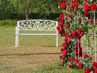 [E-M5] 현충원 이팝나무길, 서래섬 유채꽃밭 (데이터주의) - 올림푸스 Talk [E-M5] 현충원 이팝나무길, 서래섬 유채꽃밭 (데이터주의)