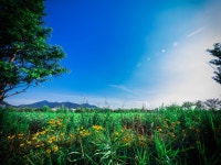 [E-M1 + 타기종] 2016. 7. 9. 부산 삼락공원 - 올림푸스 Talk [E-M1 + 타기종] 2016. 7. 9. 부산 삼락공원